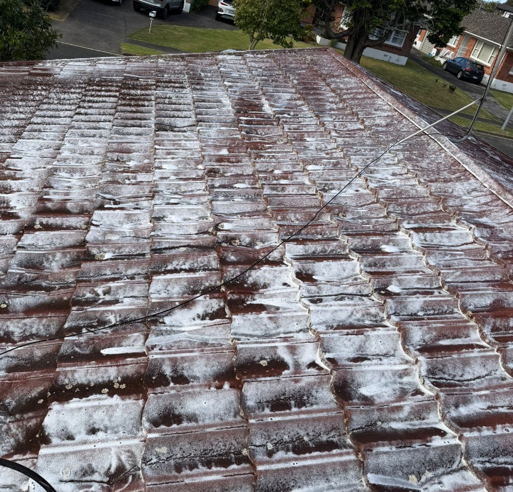 Roof Treatment