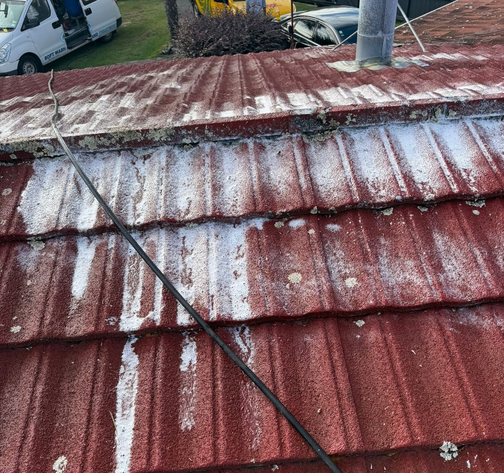 Roof Treatment - Close Up
